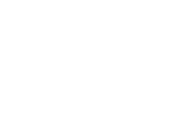 MSI Logo